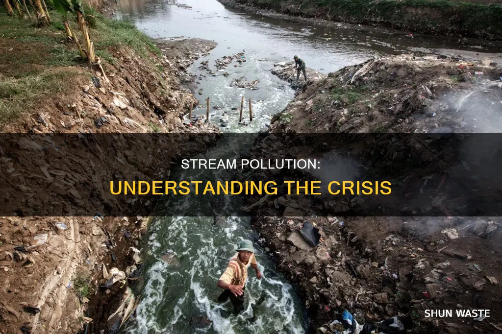 what is pollution in streams
