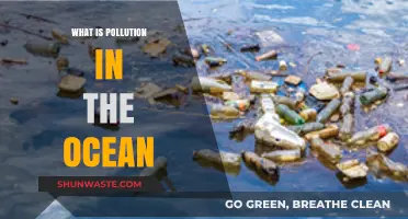 Ocean Pollution: Understanding the Devastating Impact