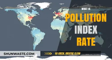 Understanding Pollution: Index Rate Explained