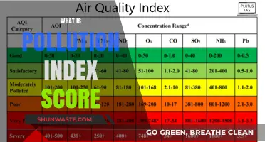 Understanding Pollution Index Scores: A Comprehensive Guide
