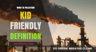 Pollution: What's Harming Our Planet, Kid-Style!