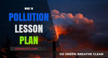 Understanding Pollution: Lesson Plan for Educators