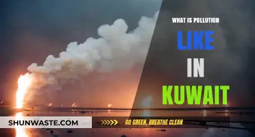 Kuwait's Pollution Problems: A Comprehensive Overview