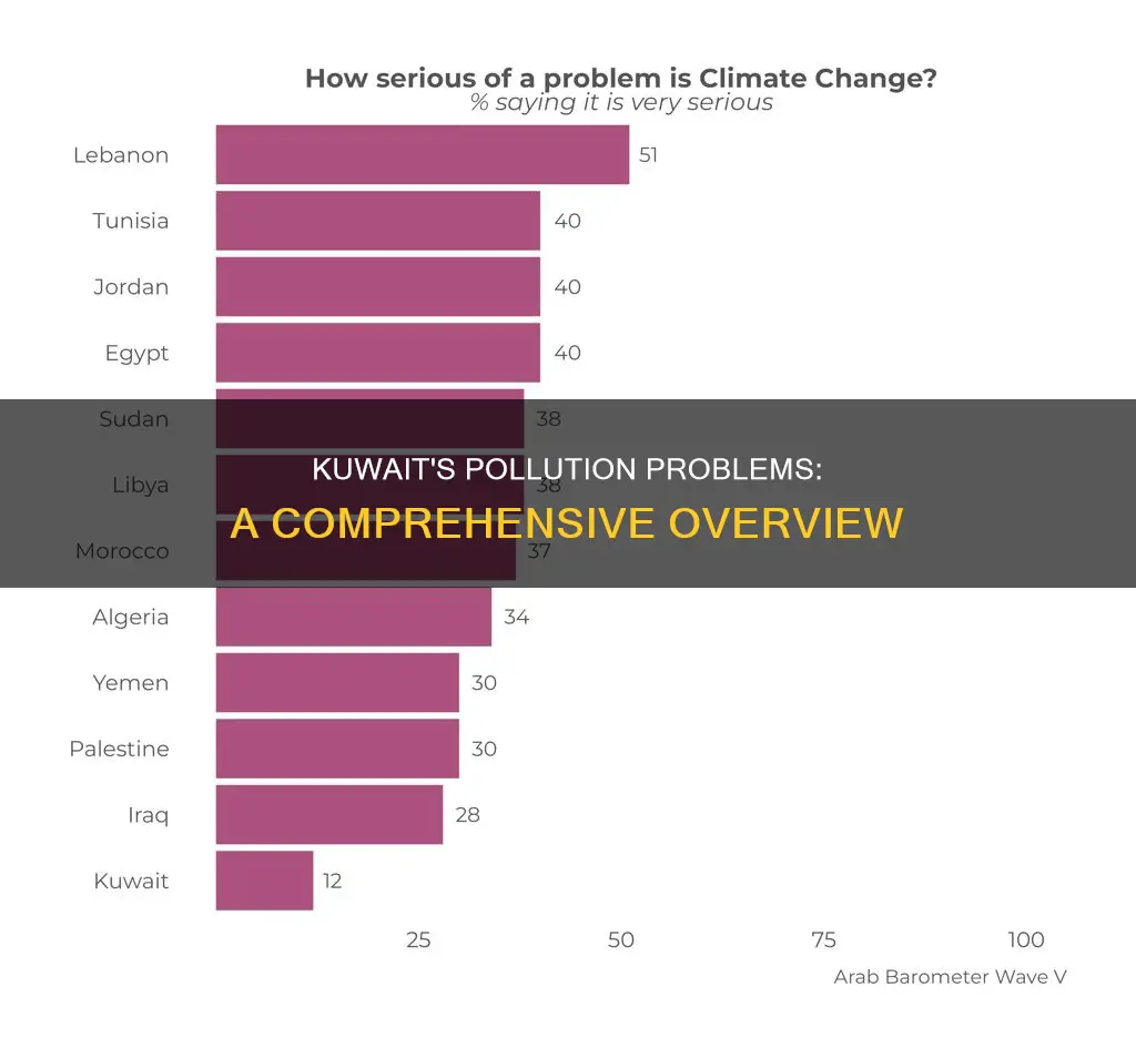 what is pollution like in kuwait