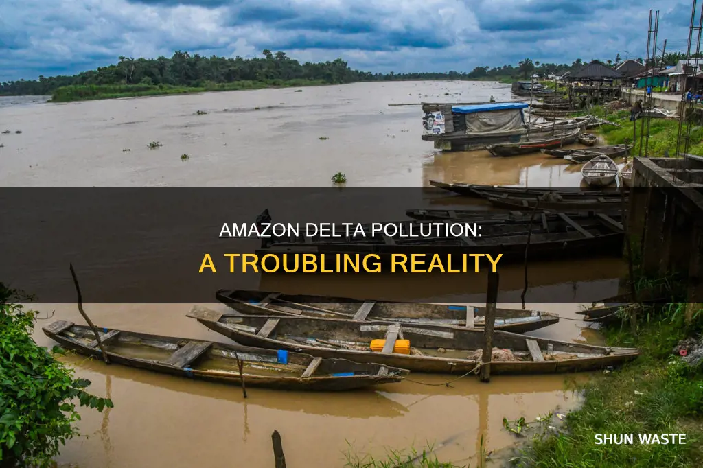 what is pollution like in the amazon delta