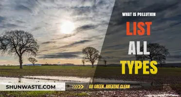 Pollution Types: Understanding Environmental Threats