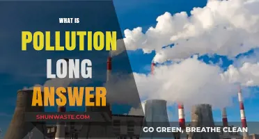 Understanding Pollution: Its Causes, Effects, and Solutions