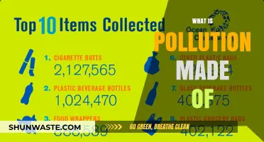 The Many Faces of Pollution: Understanding Its Composition
