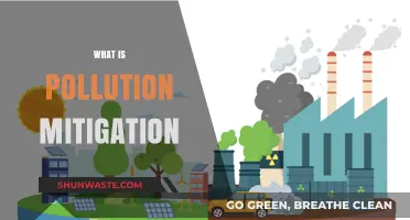 Strategies to Combat Pollution and Protect Our Planet
