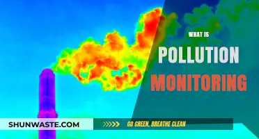Pollution Monitoring: Saving Our Planet, One Step at a Time