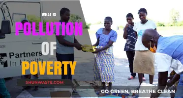 The Pollution of Poverty: A Vicious Cycle