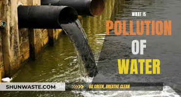 Unveiling the Hidden Threat: Understanding Water Pollution