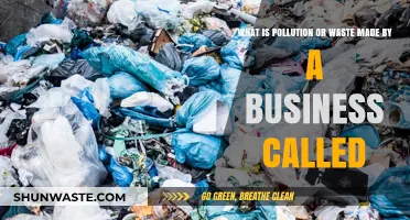 Industrial Pollution: Business Waste and Its Impact