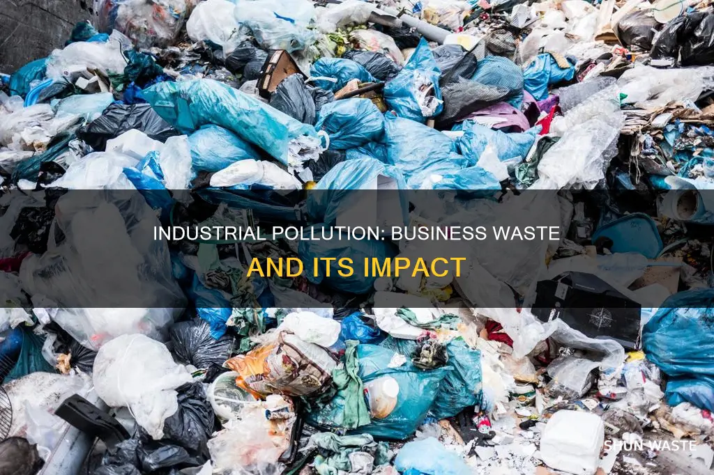 what is pollution or waste made by a business called
