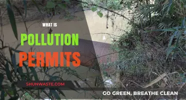 Understanding Pollution Permits: A Guide to Emissions Trading