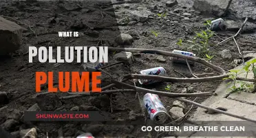 Understanding Pollution Plumes: Impact and Reach