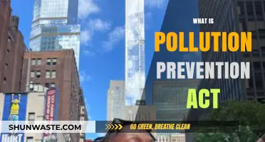 Understanding the Pollution Prevention Act