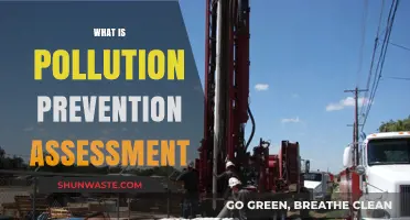 Pollution Prevention: Assess to Progress