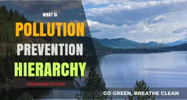 Preventing Pollution: Strategies for a Sustainable Future