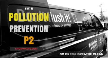 Green Strategies: Pollution Prevention Techniques for Sustainability