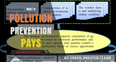 Pollution Prevention: Investing in a Sustainable Future