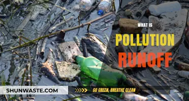 The Polluted Water Crisis: Runoff's Impact