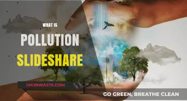 Slideshare: Understanding Pollution and Its Impact