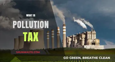 Pollution Tax: A Solution to Environmental Crisis?