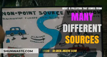 The Complex Issue of Multi-Source Pollution