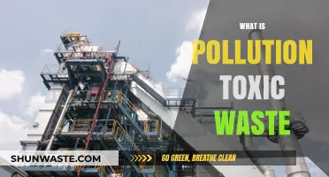 The Toxic Truth: Understanding Pollution and Waste