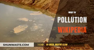 Understanding Pollution: Its Definition, Types, and Impacts