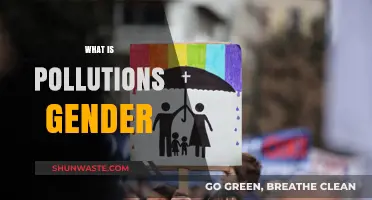 Pollution's Gender: The Toxic Truth