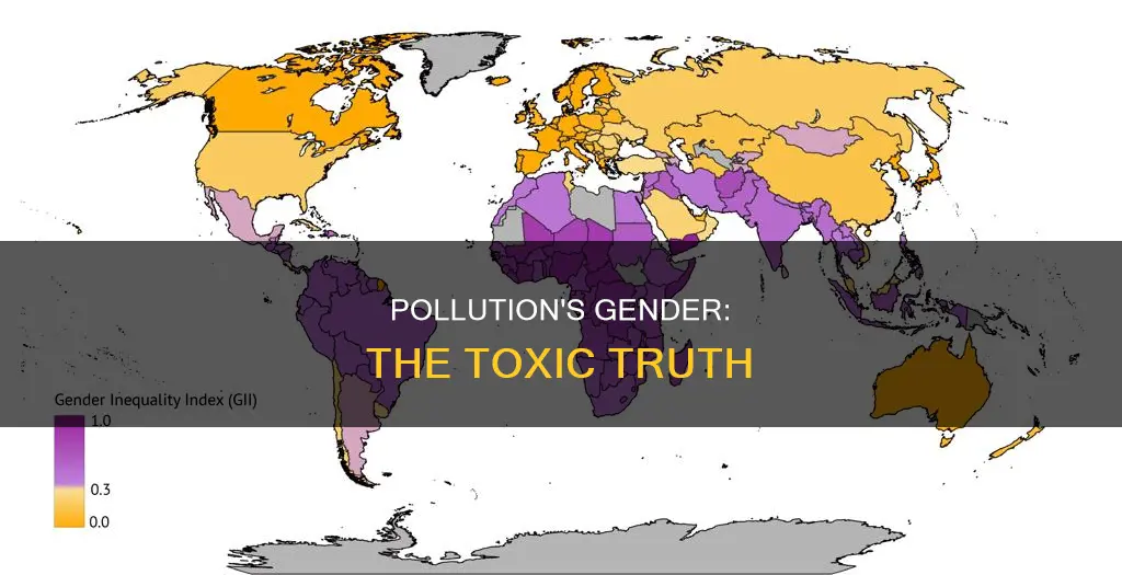 what is pollutions gender
