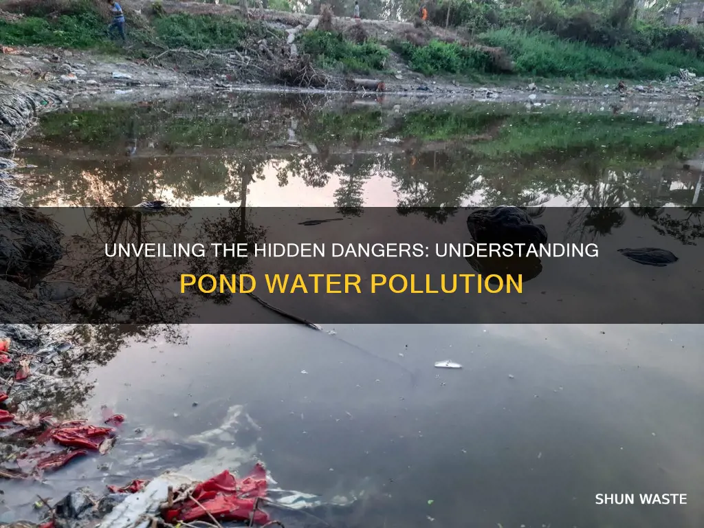 what is pond water pollution