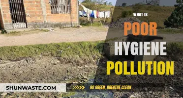 Hygiene Neglect: Pollution's Impact on Health