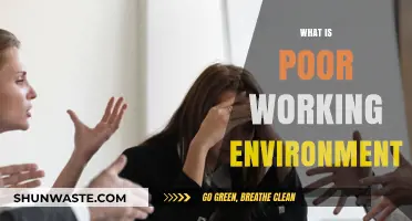 Understanding the Impact of a Poor Working Environment on Employees