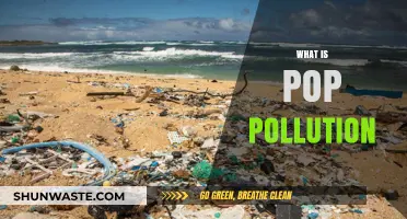 The Pop Pollution Problem