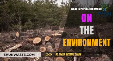 Population Growth: Environmental Consequences and Sustainable Solutions Explored