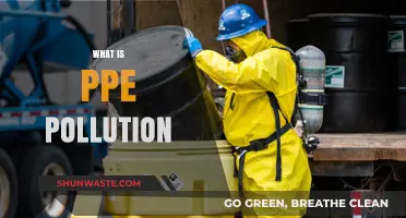 PPE Pollution: Understanding the Environmental Impact