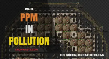 Understanding PPM: Pollution Measurement