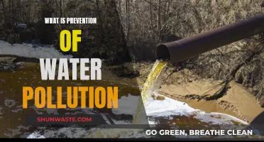 Understanding Water Pollution Prevention: A Comprehensive Guide