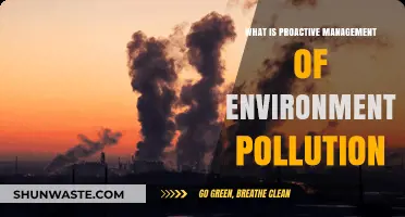 Proactive Environmental Pollution Management Strategies