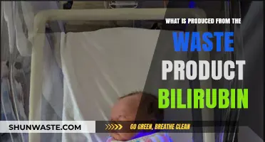 Bilirubin's Surprising Transformation: From Waste to Valuable Products