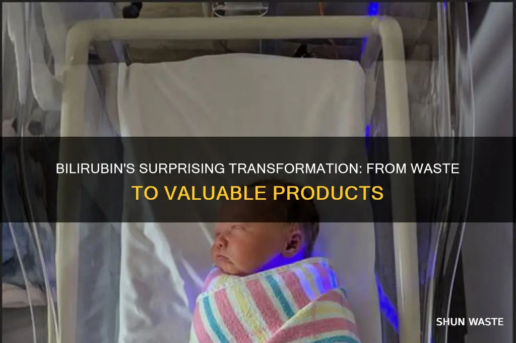 what is produced from the waste product bilirubin