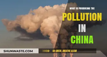 China's Pollution: What's the Main Culprit?
