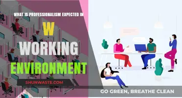 Mastering Professionalism: Key Expectations in Today's Work Environment