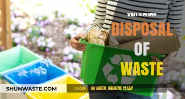 Eco-Friendly Waste Disposal: A Comprehensive Guide for Sustainable Living
