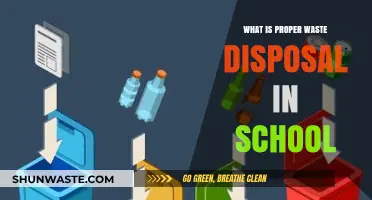 Eco-Friendly Habits: A Guide to Proper Waste Disposal in Schools