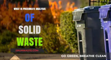 Understanding Proximate Analysis: A Key to Solid Waste Management