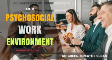 Understanding the Psychosocial Work Environment: Key Factors and Impact